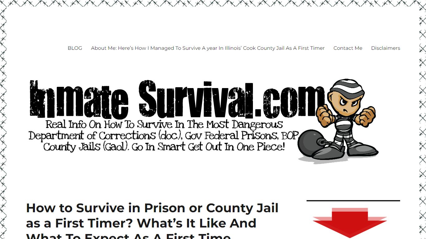 How to Survive in Prison or County Jail as a First Timer? What’s It ...